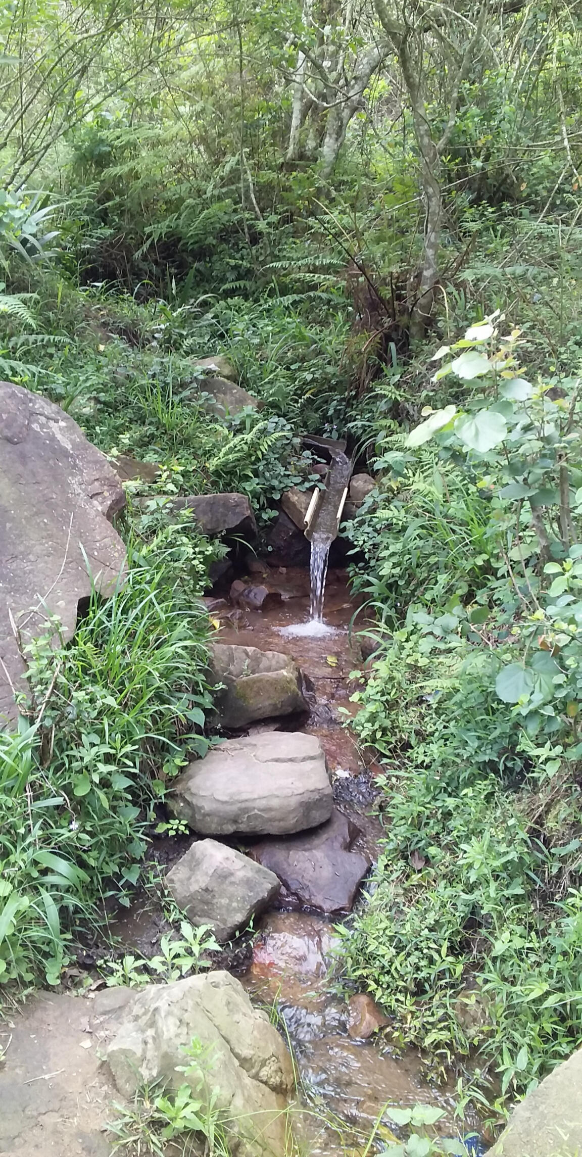 PORTCITY MERCHANT CAPITAL Break loose & Grow